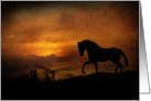 horse sunset blank card