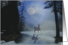 Beautiful Doe in Snow and Moon Nature Christmas Holiday card