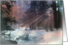 White Wolf in Snow Season’s Greetings Nature Season’s Greetings card