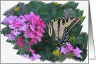 Swallow Tail and Flowers Colorful and Pretty Happy Birthday card