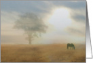 Sympathy, Loss of loved One, Horse & Tree in Fog card