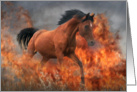 Horse running though fire congratulations card