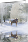 Seasons Greetings Appaloosa Horse in the Snow, Pretty Seasons card