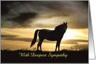 Deepest Sympathy, Horse Silhouette in Sunset Custom card