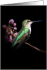 hummingbird thank you card