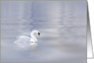 Lone Swan Sympathy card