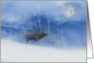 Elk in Snow and Birch Trees on a Full Moon Season’s Greetings card