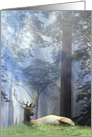 Happy Birthday Beautiful Elk, Wildlife in Forest card