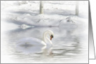 Merry Christmas Swan Swimming In Snow card
