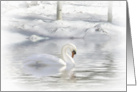 Swan in Snow Peace on Earth card