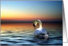 thank you for your sympathy swan in sunset card