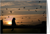 thank you for your sympathy, cat in sunset card