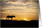 Sympathy, Silhouetted Horse and Birds in Sunset card