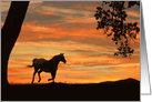 Horse running at sunset birthday card