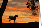 Thinking About You Horse and Sunset card