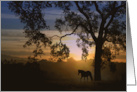 Beautiful Southwestern Sympathy Card With Horse, Oak Tree And Sunset card