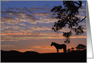 Pretty Thinking of You Horse and Sunset Card