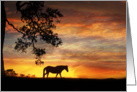 encouragement horse in sunset card