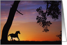 Sympathy Card for Loss Of Horse, Horse Running in the Sunset card