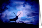 Elk and Moon Christmas Greeting card