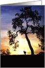 Sympathy card with silhouetted oak tree and horse in sunset card