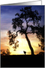 thank you for your sympathy silhouetted oak tree and horse in sunset card
