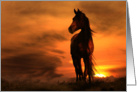 loss of horse sympathy horse in sunset card