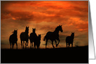 Very Cool Wild Horse Herd of Horses Birthday card