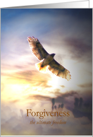 Forgiveness, I Forgive You card