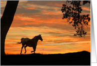 Chinese New Year, Year of the Horse, Horse New Year, 2026 card