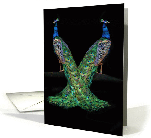 Peacock Birthday Twins to my twin card (1228208)