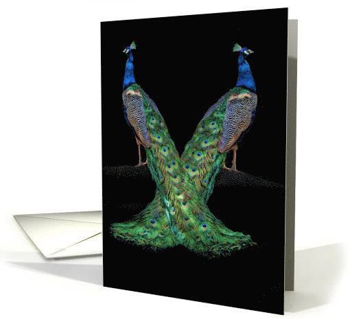 Say Hello, Saying Hi, Beautiful Peacock Hello card (1228264)