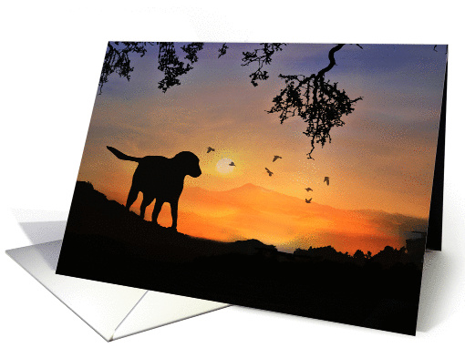 Dog in Sunset Thinking of You card (1228816)