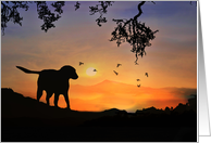 Dog in Sunset Thinking of You card