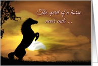 Horse Spirit Sympathy Loss of Horse, Equine Sympathy Rearing Horse card