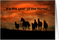 Happy Birthday Year of the Horse card