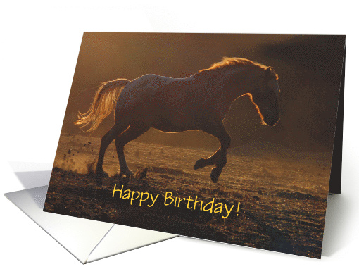 Birthday with Appaloosa Horse Galloping in the Sunset... (1232414)