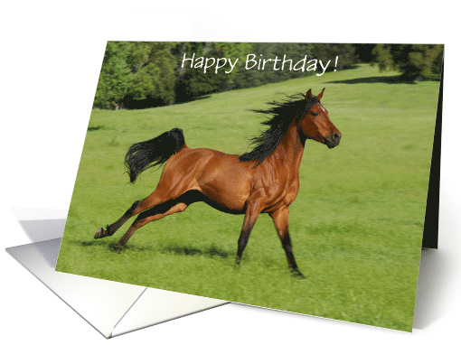 Galloping Arabian Blood Bay Happy Birthday Customizable Cover card
