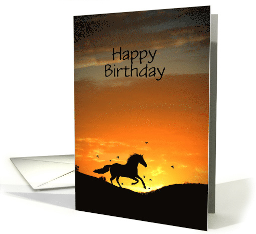 Horse Happy Birthday card (1232570)