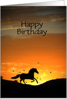 Horse Happy Birthday card