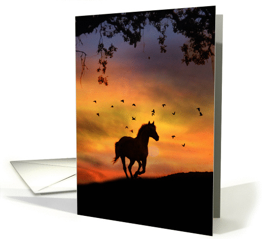 Horse Sympathy card (1233410)