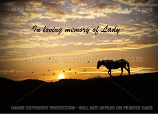 horse sympathy card...
