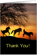 Thank you Jumping for Joy Horses Custom Text card
