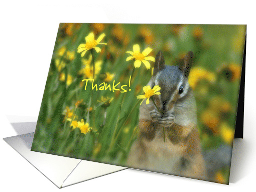 Thank you chipmunk with flower card (1246976)