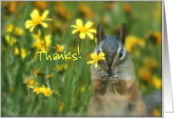 Thank you chipmunk with flower card