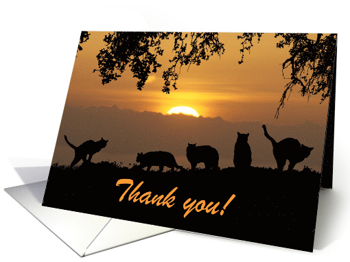 Thank you for pet sitting cats at sundown card (1247402)