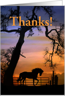 Thank you for pet sitting horse and oak tree card