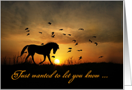 Thinking of you horse in the sunset Customizable card