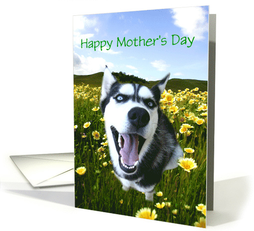 Happy Mother's Day Husky Dog in Flowers, Customizable card (1248190)