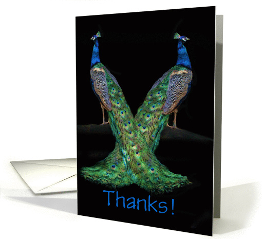 Thank you Peacock card (1256360)